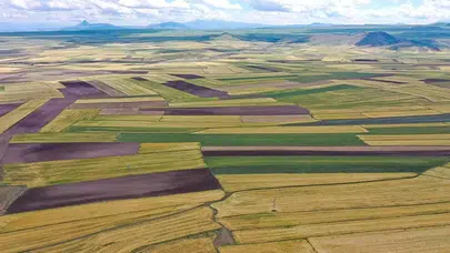 İstanbul dahil 4 ilde dev arsa satışı! Milyonluk ihaleler Resmi Gazete’de duyuruldu