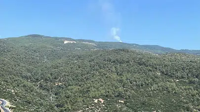 İzmir Çine'de orman yangını: Alevlere havadan ve karadan müdahale başladı!