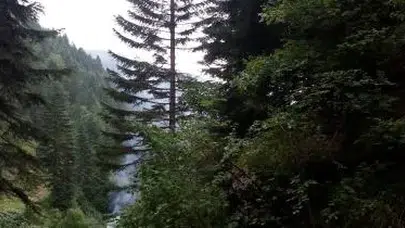 Gümüşhane’de ormanlara giriş yasaklandı!