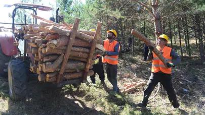 Orman işçileri greve mi gidiyor?