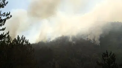 Karabük’te orman yangınlarına 3. gününde yoğun müdahale devam ediyor