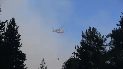 Muğla ve Manisa'daki yangınlar kontrol altına alındı, Hatay'da mücadele sürüyor!