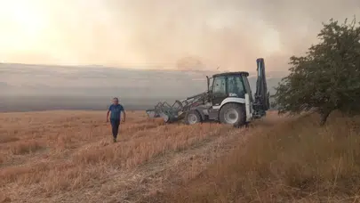 Kırklareli'nde tarla yangını ağaçlık alana sıçradı: 250 dekar alan kül oldu