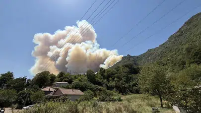 Geyve’de panik yaratan yeni orman yangını! Bölge ekipleri seferber oldu