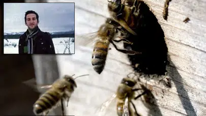 Geyve’de trajik olay: Kulağını arı sokan genç hayatını kaybetti