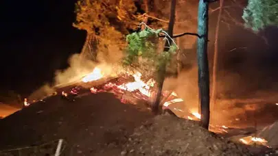 Bilecik’te korkutan yangın: Çiftlik alev aldı, 95 küçükbaş hayvan telef oldu