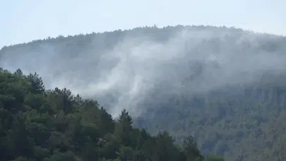 Çankırı'daki orman yangını kontrol altına alındı