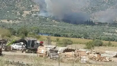 Bayındır'da korkutan yangın: Ekipler sevk edildi