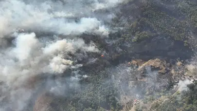 Orman yangınlarıyla ilgili 3 şüpheli tutuklandı