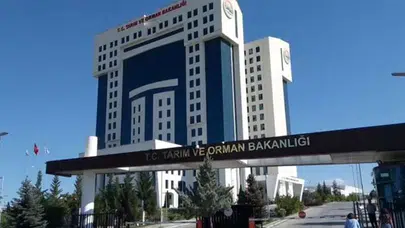 Tarım ve Orman Bakanlığı engelli işçi alımı yapacak: Başvurular 28 Temmuz’da başlıyor!
