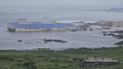 Rusya'da deprem alarmı: Tsunami 4 metreyi aştı, balinalar kıyıya vurdu!