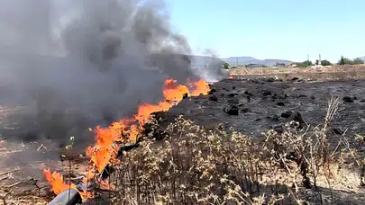 Milas’ta aynı gün içinde ikinci orman yangını başladı!