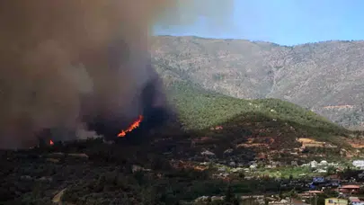 Hatay'da orman yangını: Müdahale sürüyor