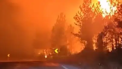 Bursa'da korku dolu anlar: Ekipler, alevlerin arasında kaldı!