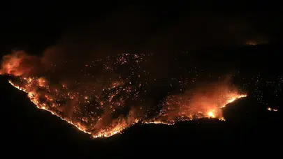 Türkiye'de en çok yangın çıkan iller hangileri?