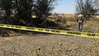 Edirne’de ayçiçeği tarlasında kadın cesedi bulundu