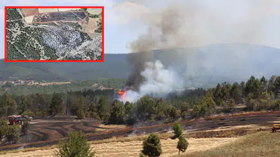 Kastamonu'da tarlada çıkan yangın ormana sıçradı: 6 dekar alan zarar gördü