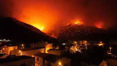 Bursa’daki orman yangınında gözaltı: Yangının sorumlusu mu bulundu?