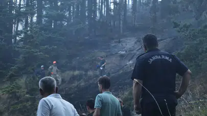 Çankırı Valiliğinden Yapraklı'daki orman yangınına ilişkin açıklama
