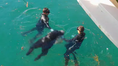 Bedensel engelli vatandaş intihar etti! O anlar kamerada