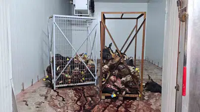 Gemlik’te skandal: Bozulmuş etler kelle paçaya mı karıştı?