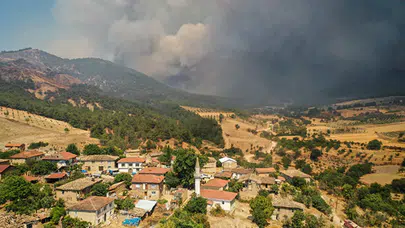 Sakarya'da başlayan yangın Bilecik'e ulaştı!