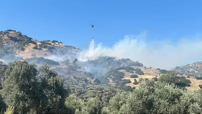 Aydın’daki yangın ile ilgili 2 kişi gözaltına alındı