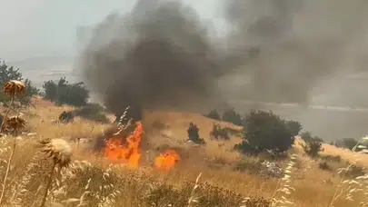 Sırbistan'da orman yangınları: 1 ölü, 14 yaralı!