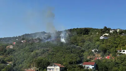 Beykoz'da bulunan ormanlık alanda yangın çıktı