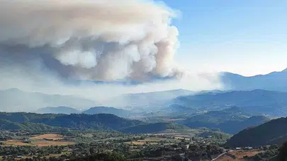 Suriye’den sızan alevler Türkiye sınırına ulaştı! Hatay’daki yangın kontrol altında!