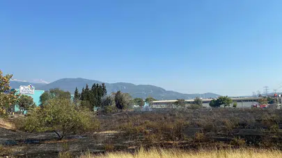 Bornova’da ot yangını panik yarattı! Alevler AVM otoparkına sıçradı