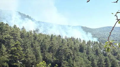 Antalya Kaş’ta orman yangını alarmı: Havadan ve karadan müdahale devam ediyor