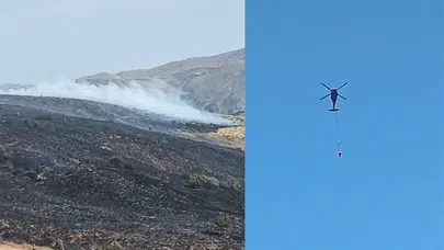 Elazığ'da örtü yangını 500 dönüm araziye zarar verdi