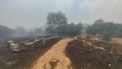 Muğla'da antik kent alanında yangın!