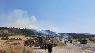 Bilecik Gölpazarı'nda orman yangını! Ekipler müdahale ediyor