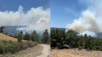 Isparta'da orman yangını! Geniş alana yayıldı