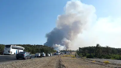 Bursa'da orman yangını