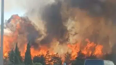 İzmir Buca'da orman yangını: Havadan ve karadan müdahale sürüyor