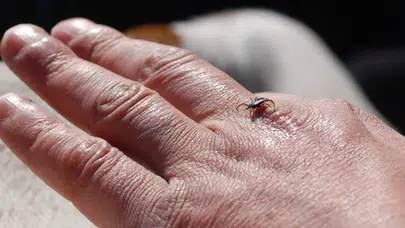 Tokat’ta KKKA alarmı: 7 kişi tedavi altında, 2 kişi hayatını kaybetti