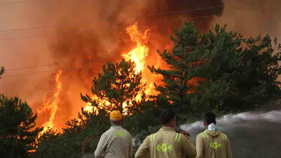 Yangınlardan etkilenen hanelere 10 milyon lira kaynak aktarıldı