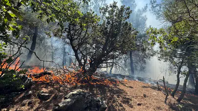 Adana'da orman yangını!