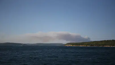 Çanakkale'de orman yangını: Ekiplerin müdahalesi sürüyor