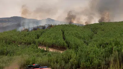 Orman yangınlarına karşı alarm durumu uzatıldı