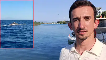 Manavgat'ta sürpriz karşılaşma: 15 metrelik balina görüntülendi!
