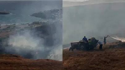 Paşalimanı Adası'nda yangın! Rüzgarın etkisiyle büyüdü