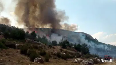 Kartal’da otluk alanda ateş yakan 3 kişi yakalandı