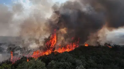 Çanakkale’de 4 büyük orman yangını