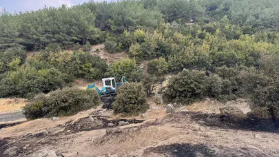 Edirne Keşan'da makilikte başlayan yangın tarlaya sıçradı