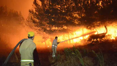 Çanakkale'deki orman yangınına 2. gününde müdahale devam ediyor!