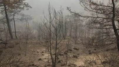 Yanan ormanda erkek cesedi bulundu